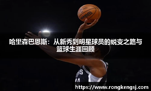 ng体育官方网站